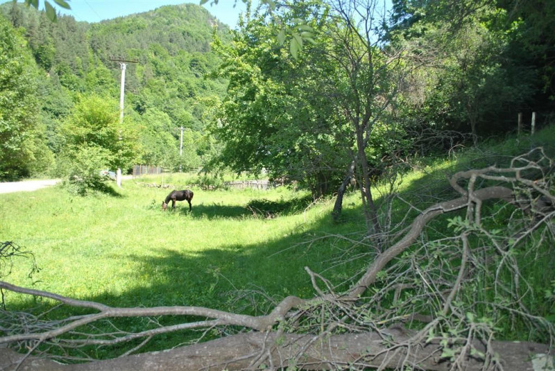 Teren la munte - Buzau Gura Teghii - Varlaam acces facil Comision 0%