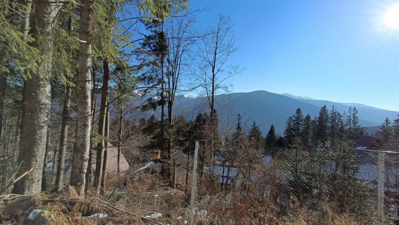 View impresionant, Sinaia, Furnica, Strada Tisei