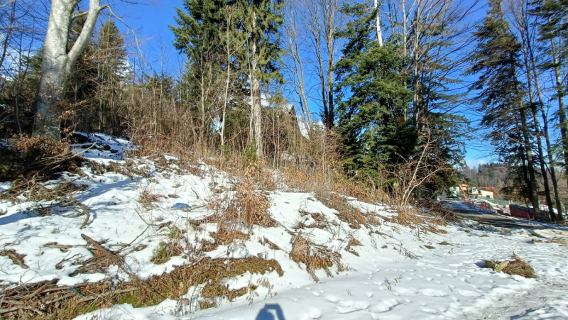 View impresionant, Sinaia, Furnica, Strada Tisei