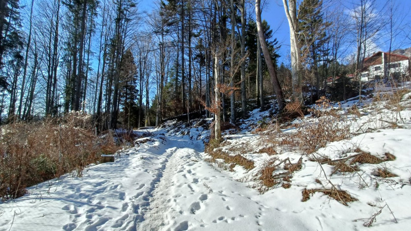 View impresionant, Sinaia, Furnica, Strada Tisei