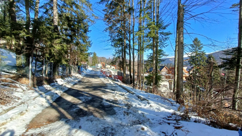 View impresionant, Sinaia, Furnica, Strada Tisei