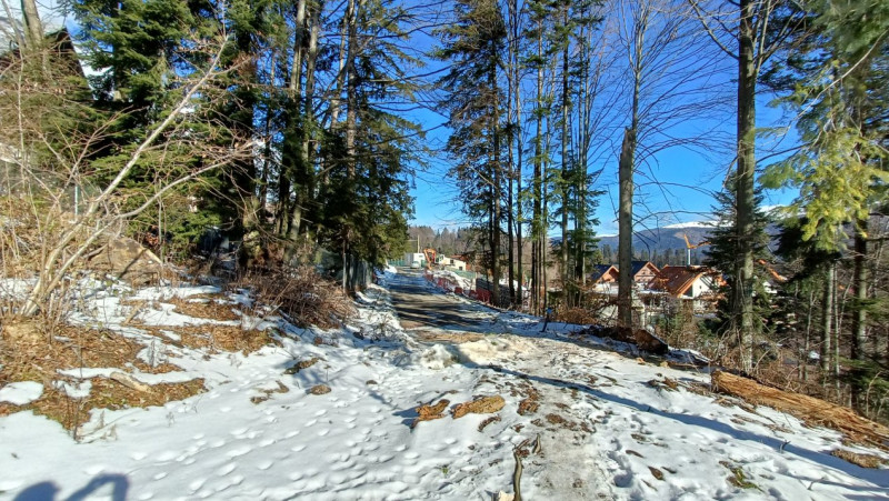 View impresionant, Sinaia, Furnica, Strada Tisei