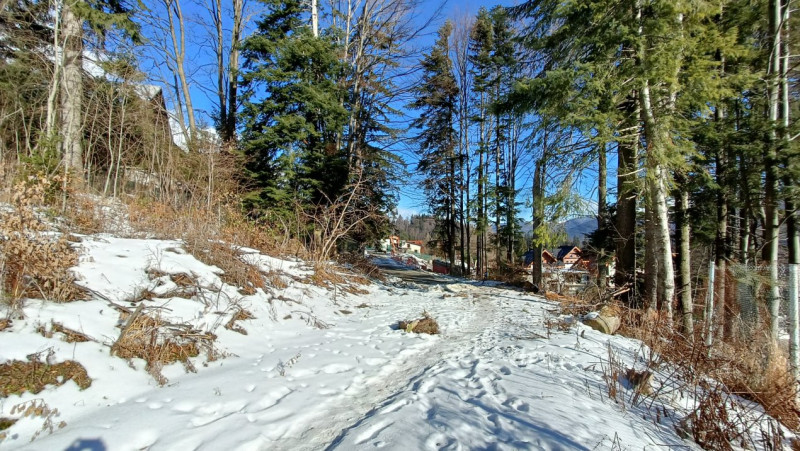 View impresionant, Sinaia, Furnica, Strada Tisei