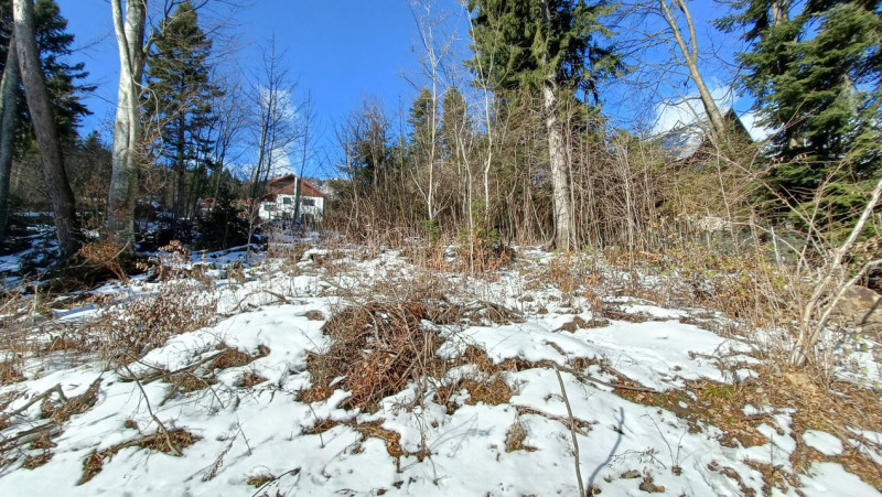 View impresionant, Sinaia, Furnica, Strada Tisei