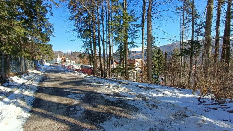 View impresionant, Sinaia, Furnica, Strada Tisei