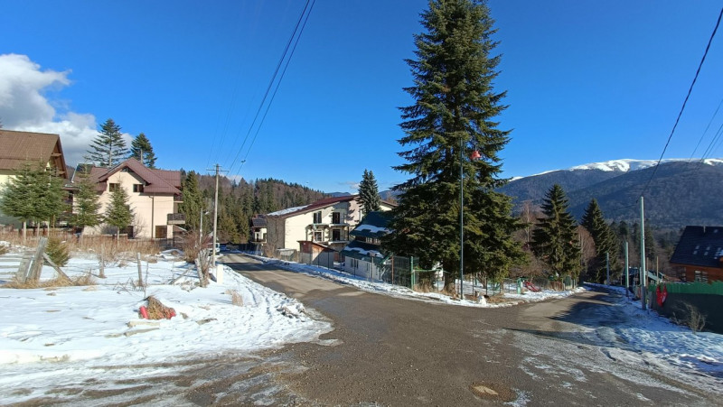 View impresionant, Sinaia, Furnica, Strada Tisei